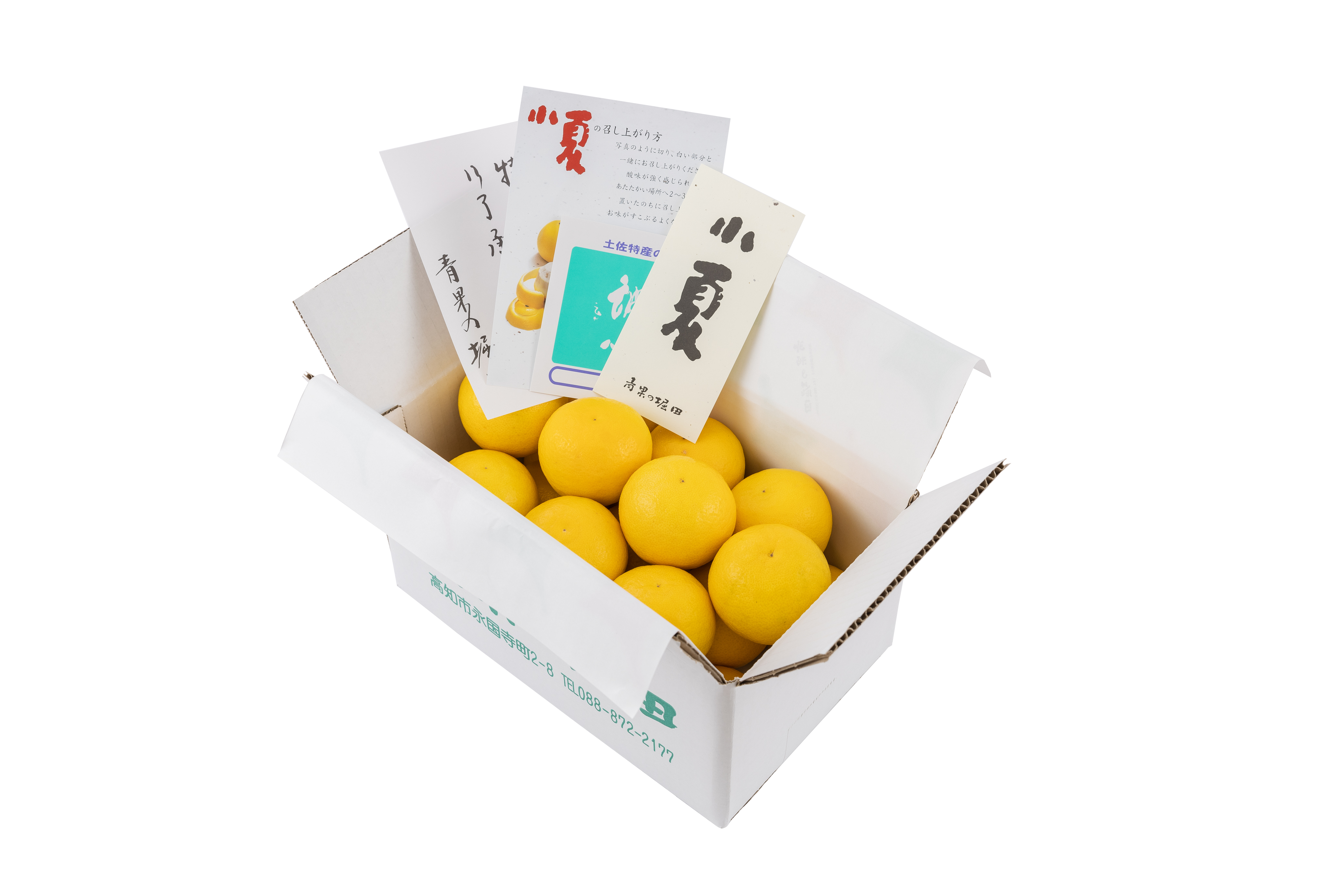 一般小夏優品 MまたはS