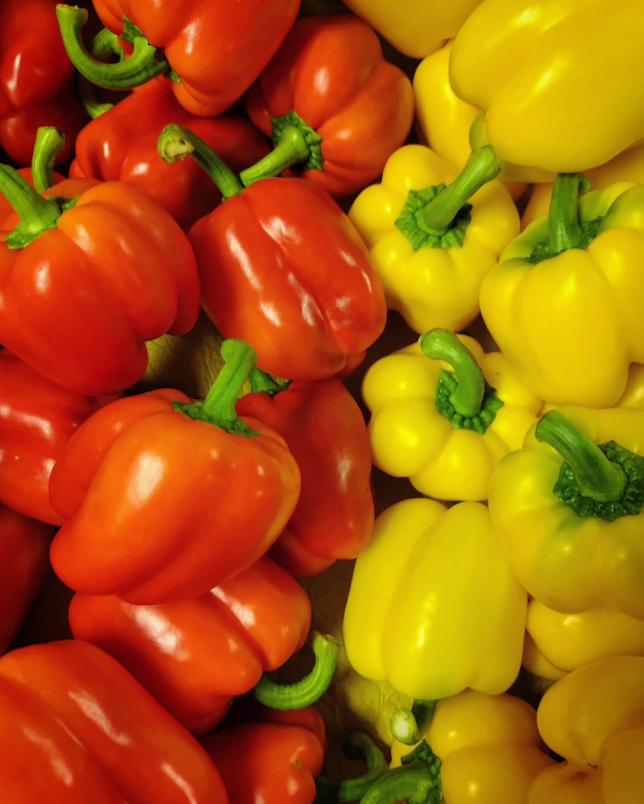 高知県産パプリカ